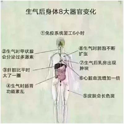 55岁最好活法,55岁的正确活法