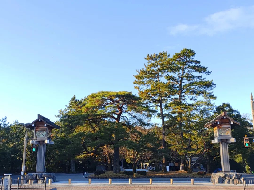 日本小哥回日本,日本小哥下班回家