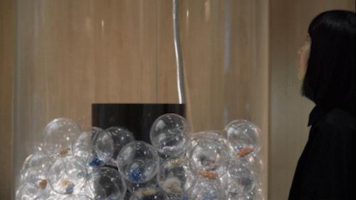 共生体嚎叫强不强,共生体发出的声音