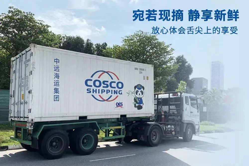 2021中国水运物流上市公司榜：中远海控最赚钱海丰中谷均破百亿