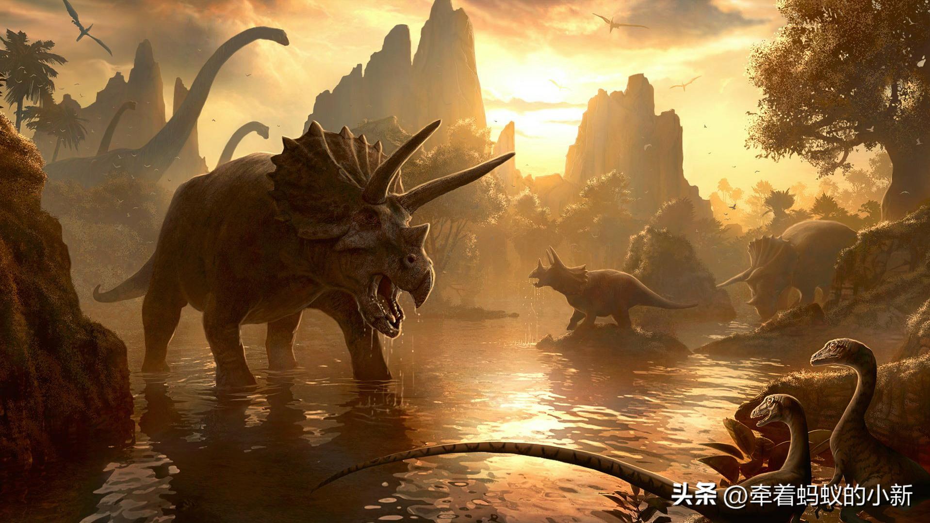 恐龙的分类以及特征,科普恐龙的种类和特点