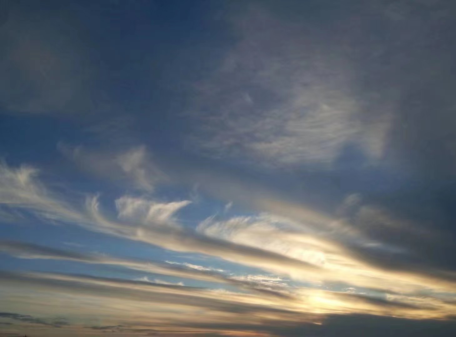 新疆农业大学在疆排名,全国教学评估新疆农业大学