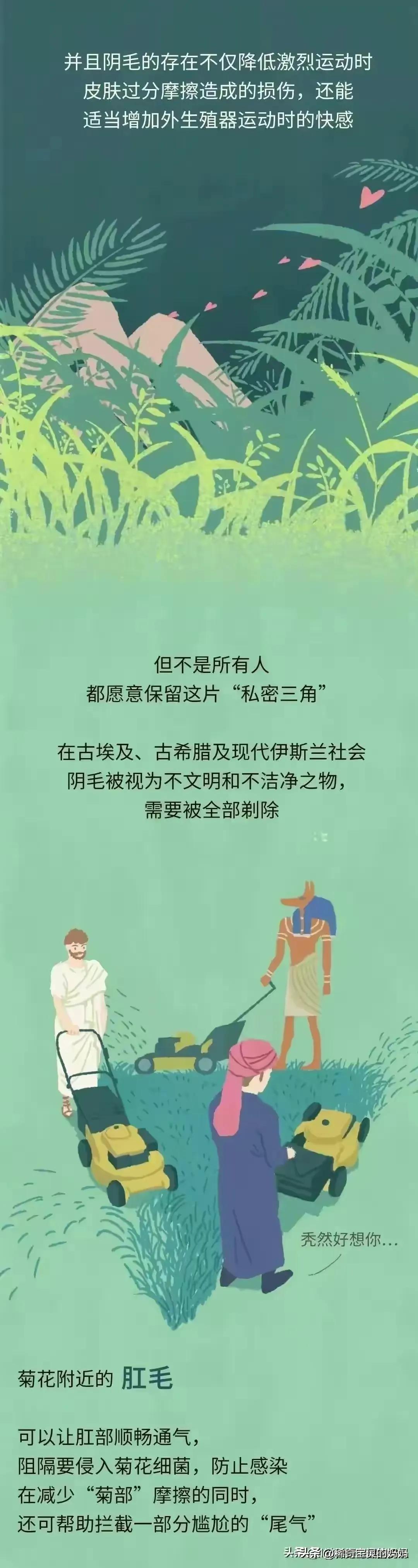 人类的毛发都是黑色的吗,人类体毛是为了什么存在的