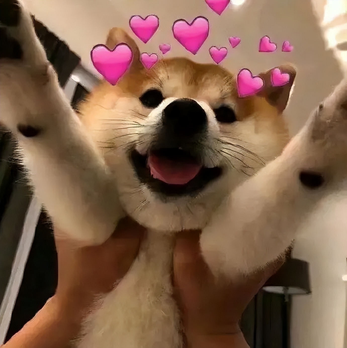 LUNO绿能照明|线性灯种类大公开，各司其职各装其位