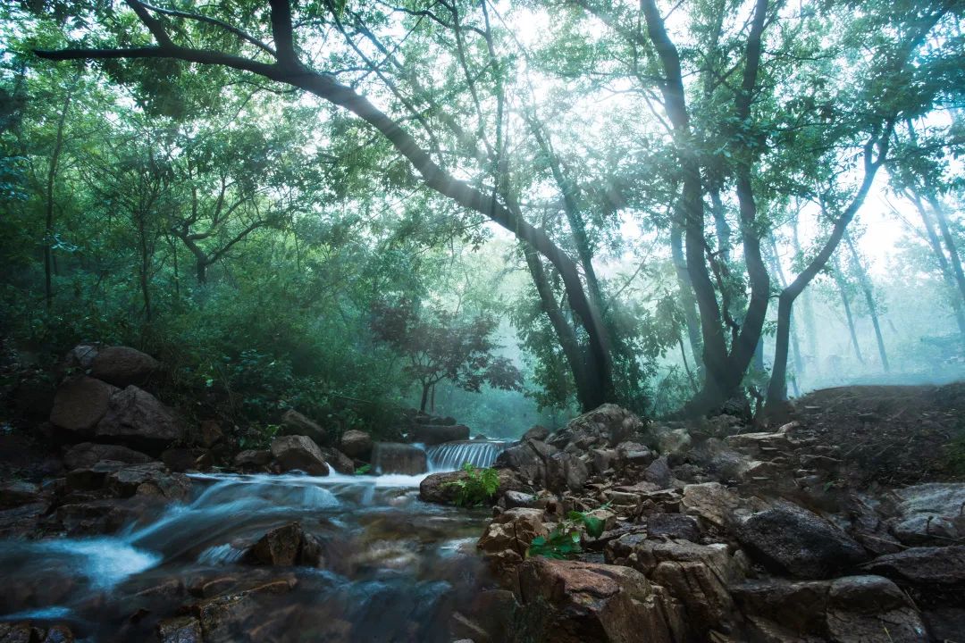 2022阿朵暑期研学季·竹马自然探学|沉浸式自然教育，探寻真假“海上方”