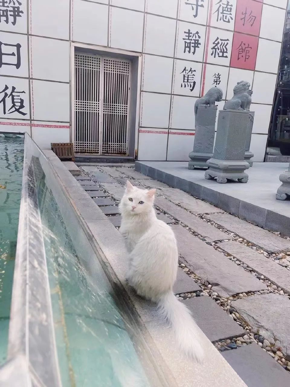 赵明明：上班摸鱼，是我的梦想!