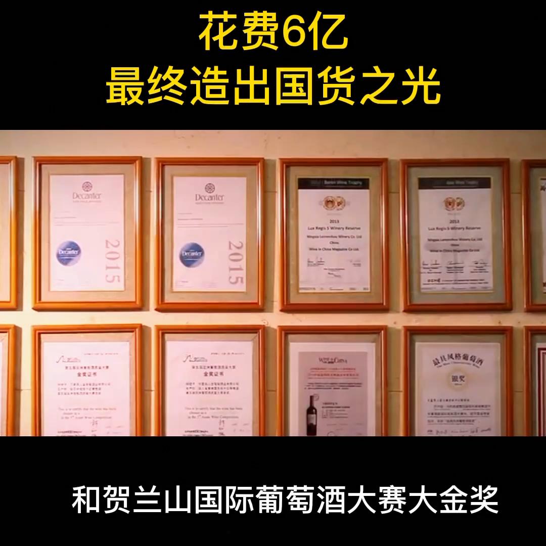 女人拼命赚钱养家完整版,女人拼命挣钱养家完整版