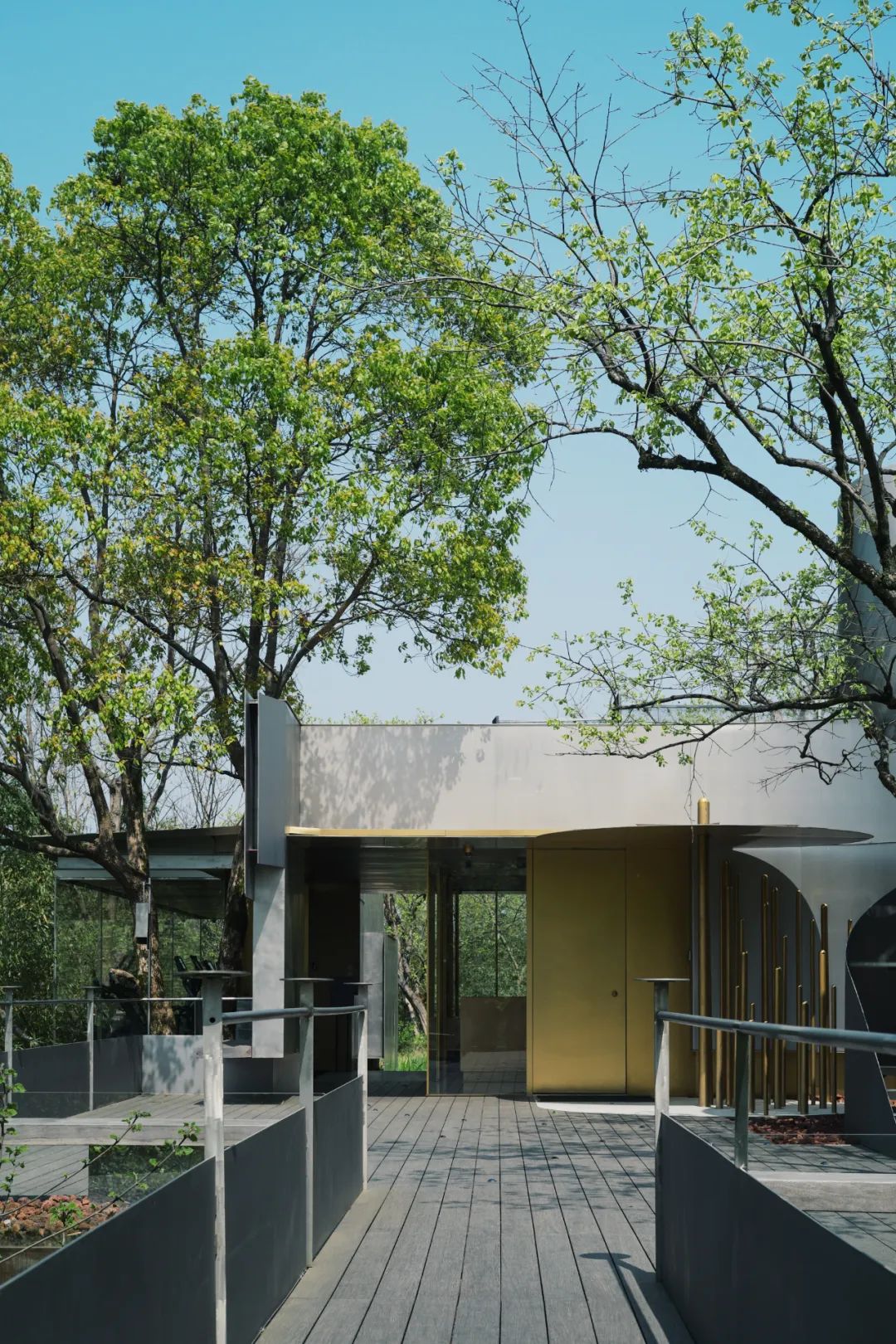 春天的潺潺溪水,春天的顶流