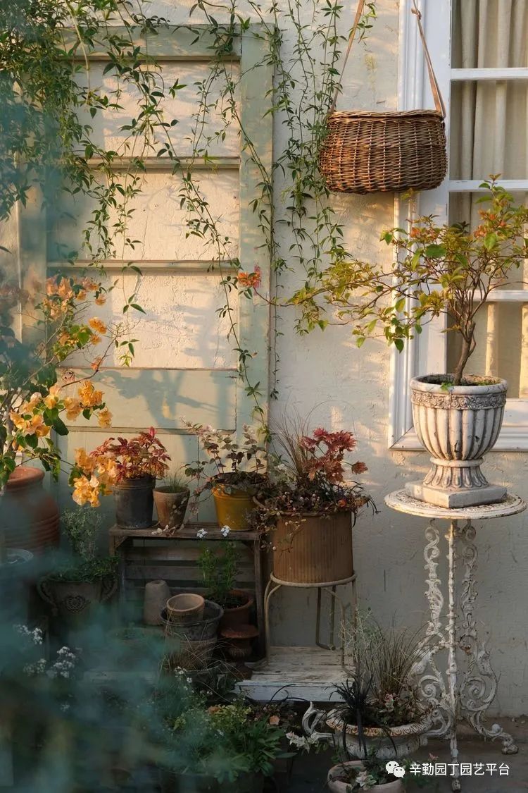 第八届园丁奖露台组《030号》洛基花园