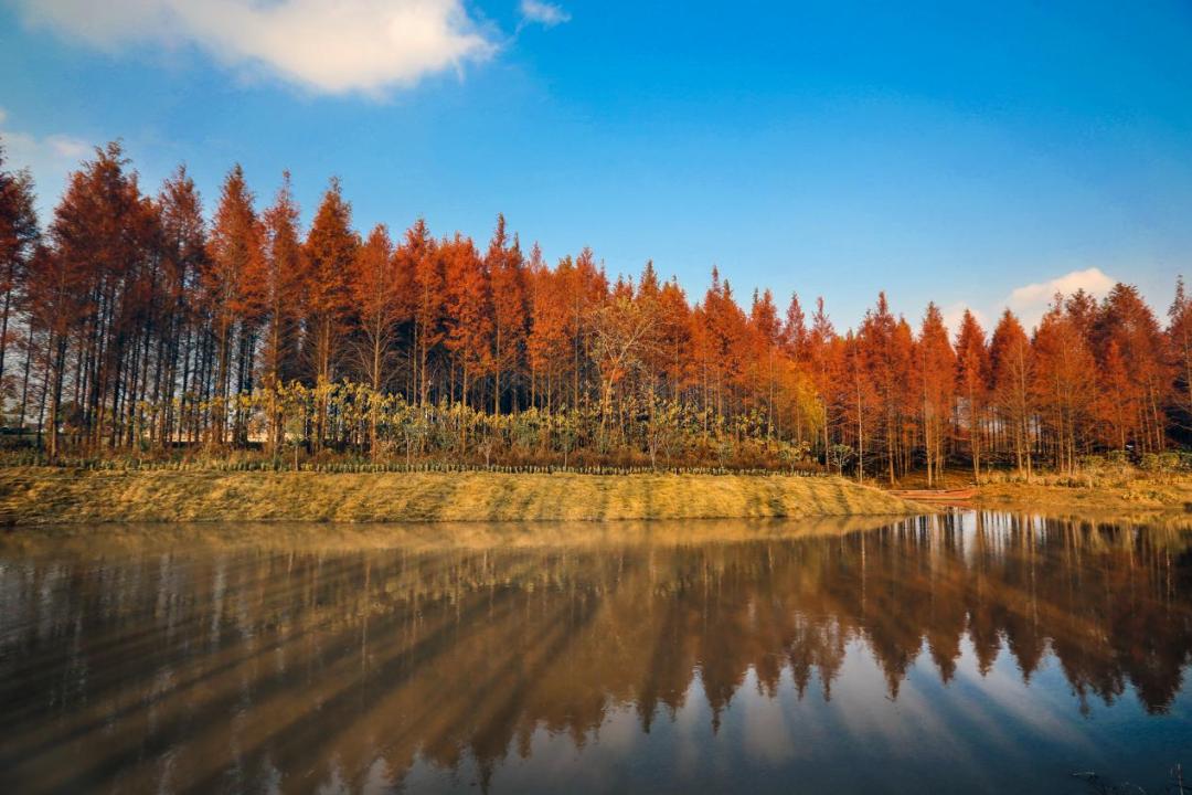 上海市首批市级旅游重点村,上海第四批全国乡村旅游重点村