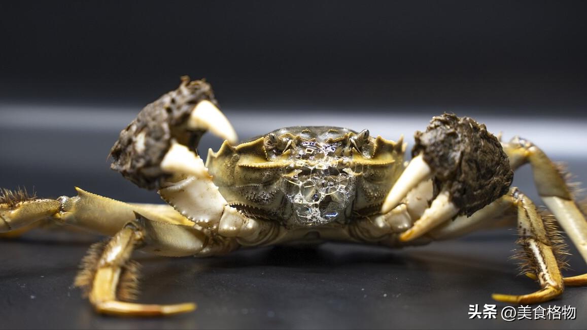螃蟹哪些地方不能吃教程,螃蟹正确吃法怎么蒸才正确