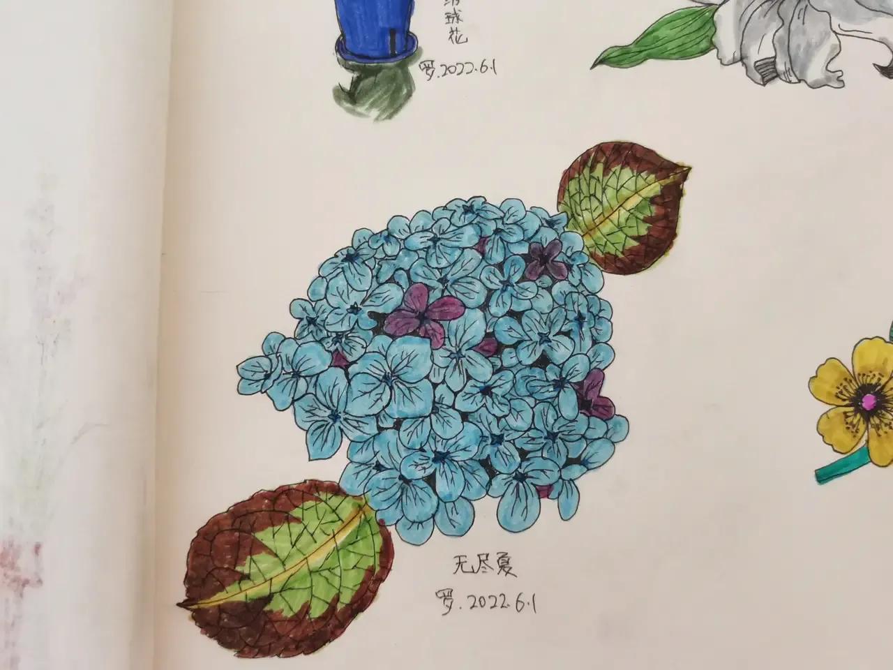 自学画画几年才有成果,自学画画一星期