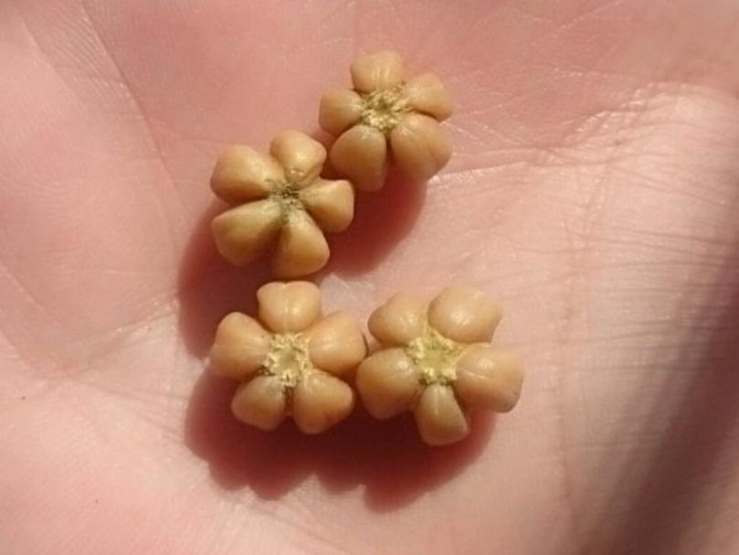 几千块钱值得盘的文玩,十大适合盘的文玩