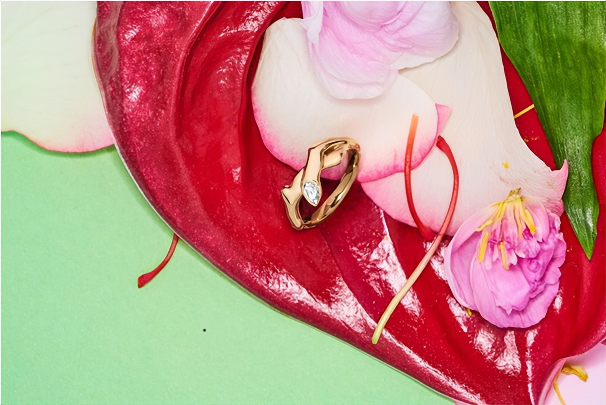 连卡佛回放,连卡佛呈现夏日心动甄选