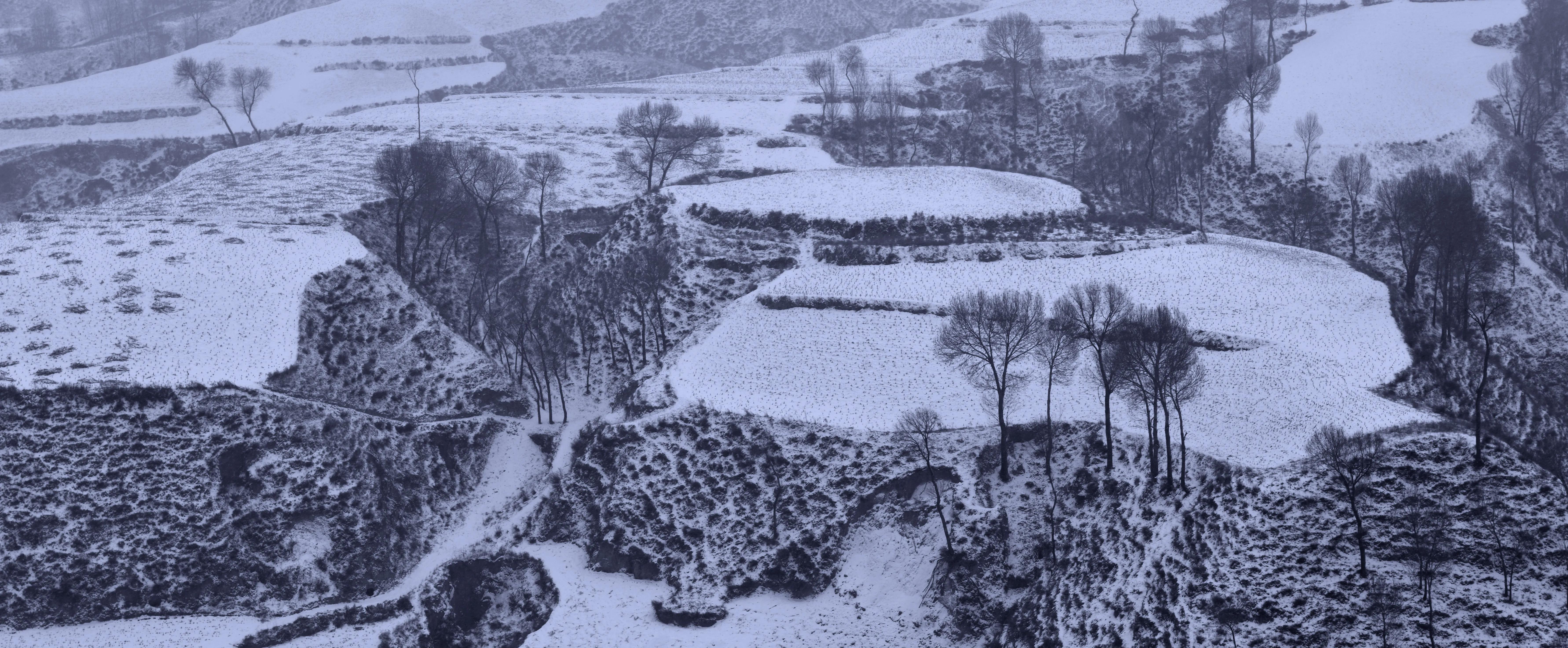 岳占东文艺创作工作室,岳占东