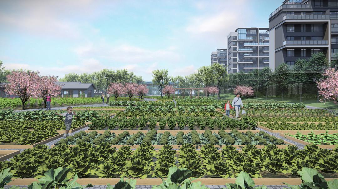 儿童活动区设计效果图,儿童活动区户外设计效果图