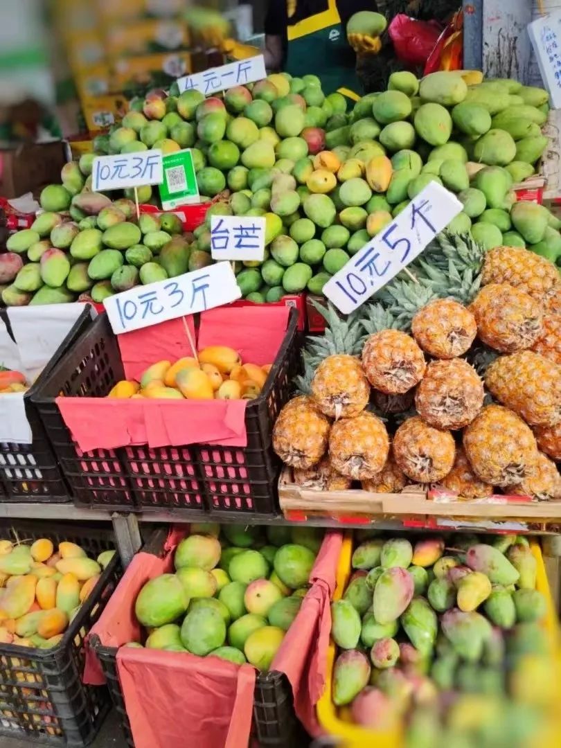 海南三天环岛游最佳路线,海南环岛游最佳路线图及美食费用