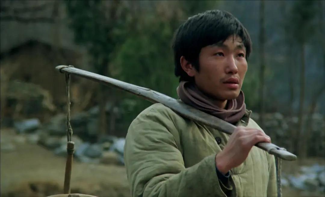 贾平凹小说鸡窝洼人家讲的什么,贾平凹与消失的乡村