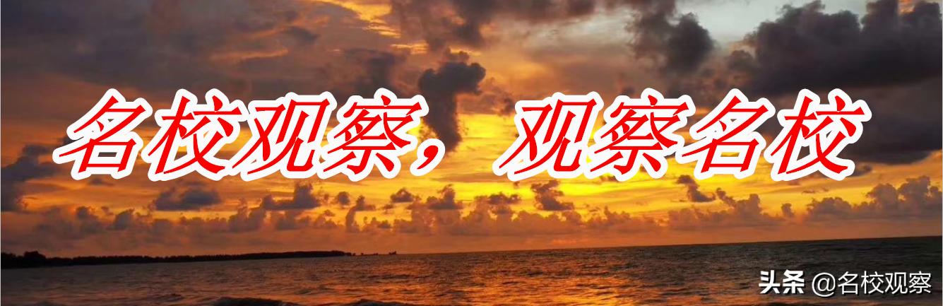 成都美视国际学校怎么样,成都美视