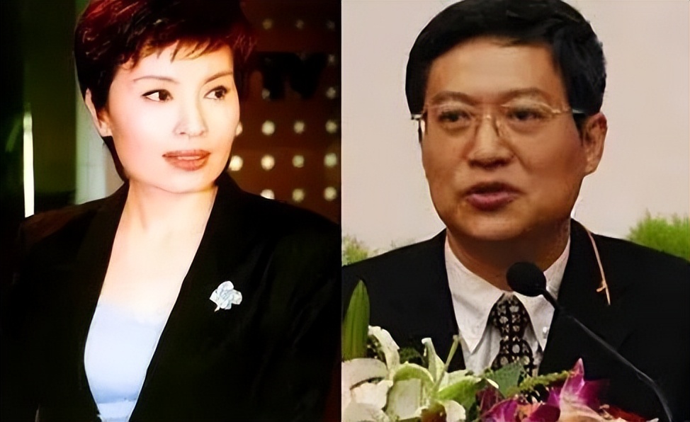 央视主播李瑞英儿子坠楼后续,央视主播李瑞英儿子坠楼