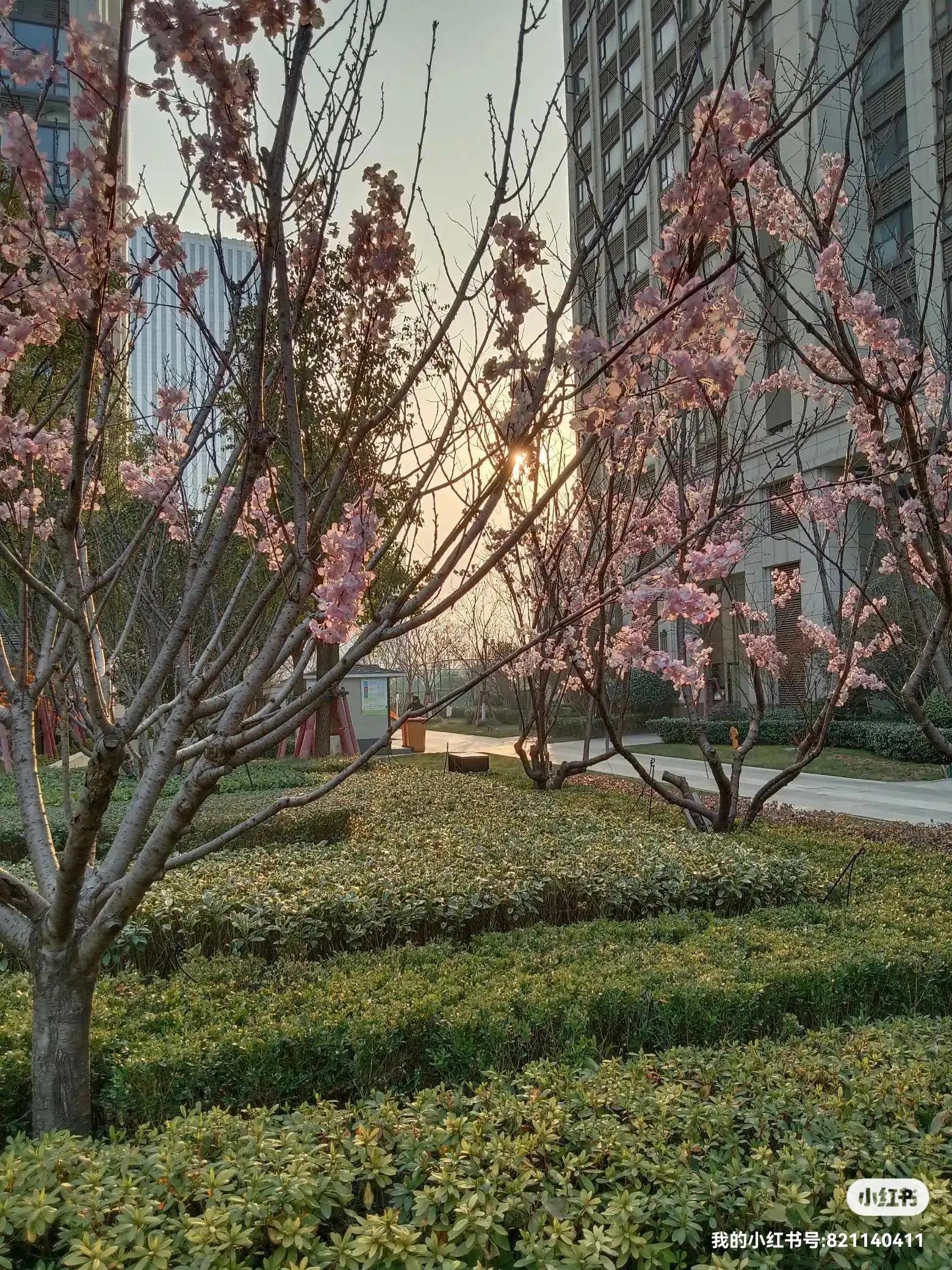 期货知识入门教程100课免费学,炒黄金期货入门知识