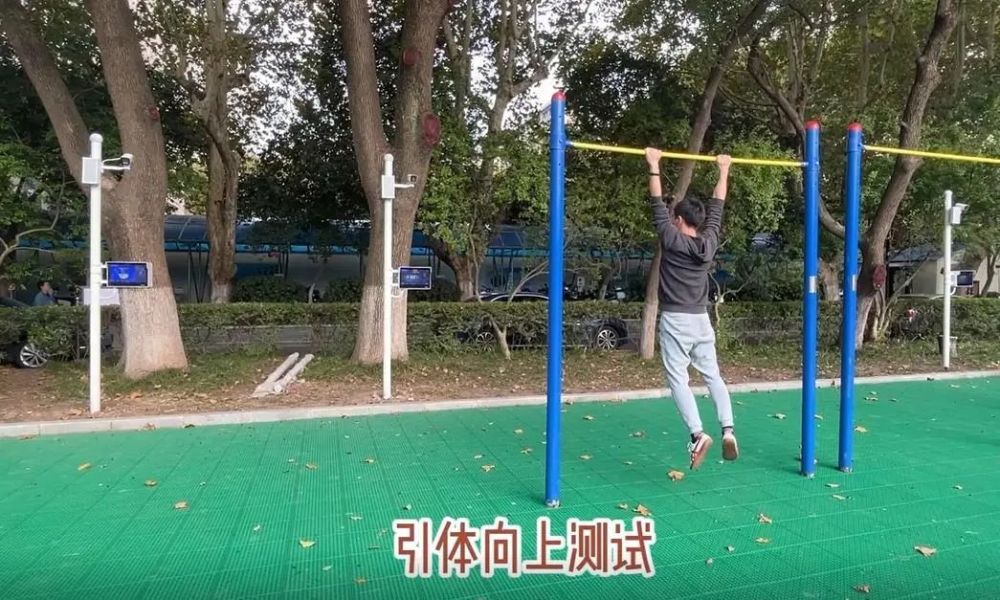 辛巴助力河南,辛巴助力黑龙江灾区