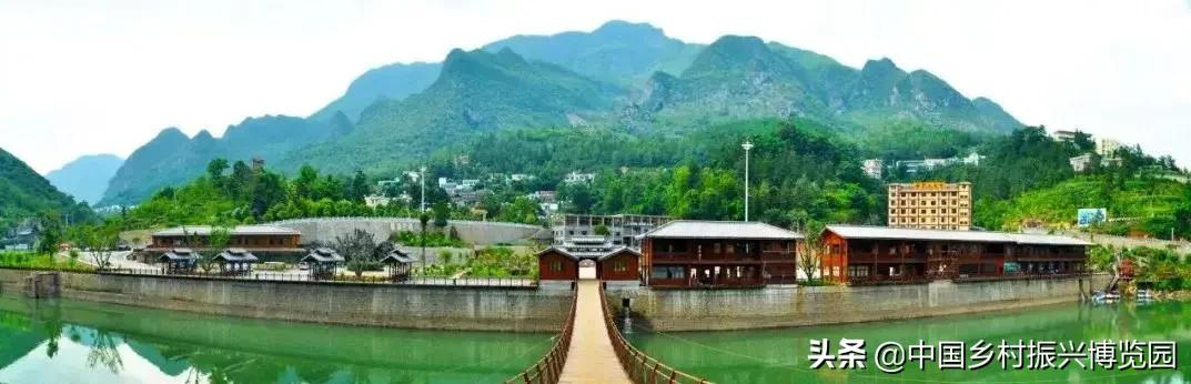 全国高校乡村振兴活动案例,乡村振兴巾帼行动优秀案例