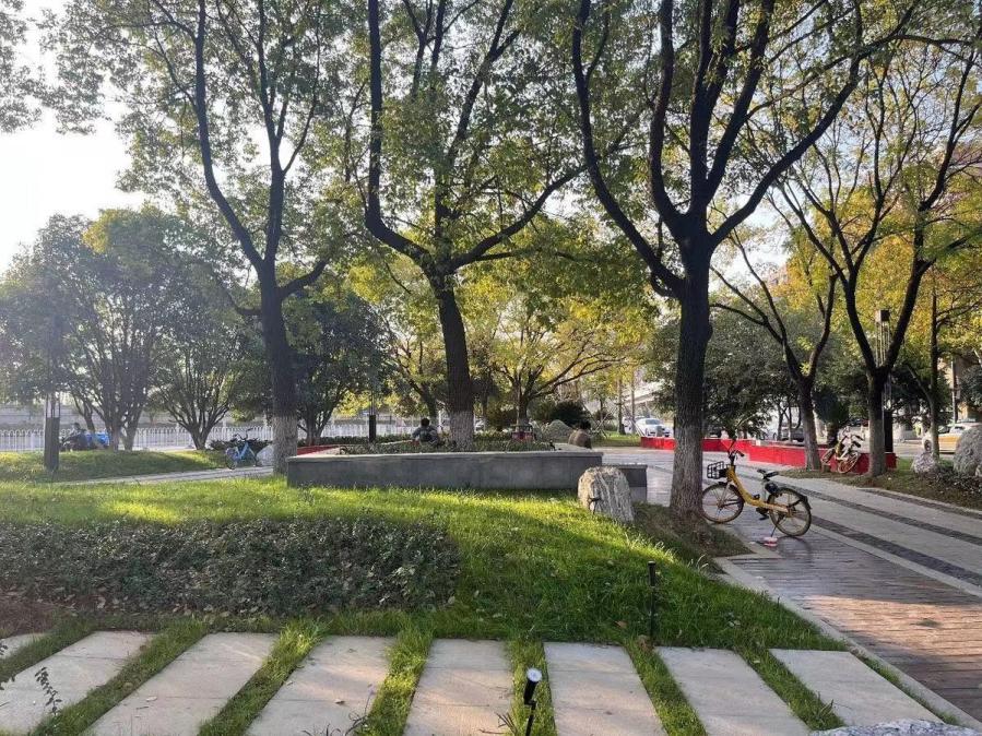 口袋公园生态美景,口袋公园小景观