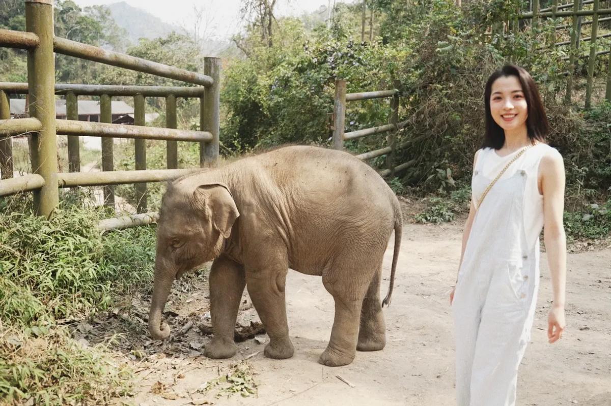 做模特月入十万真的吗,普通人做模特收入怎样