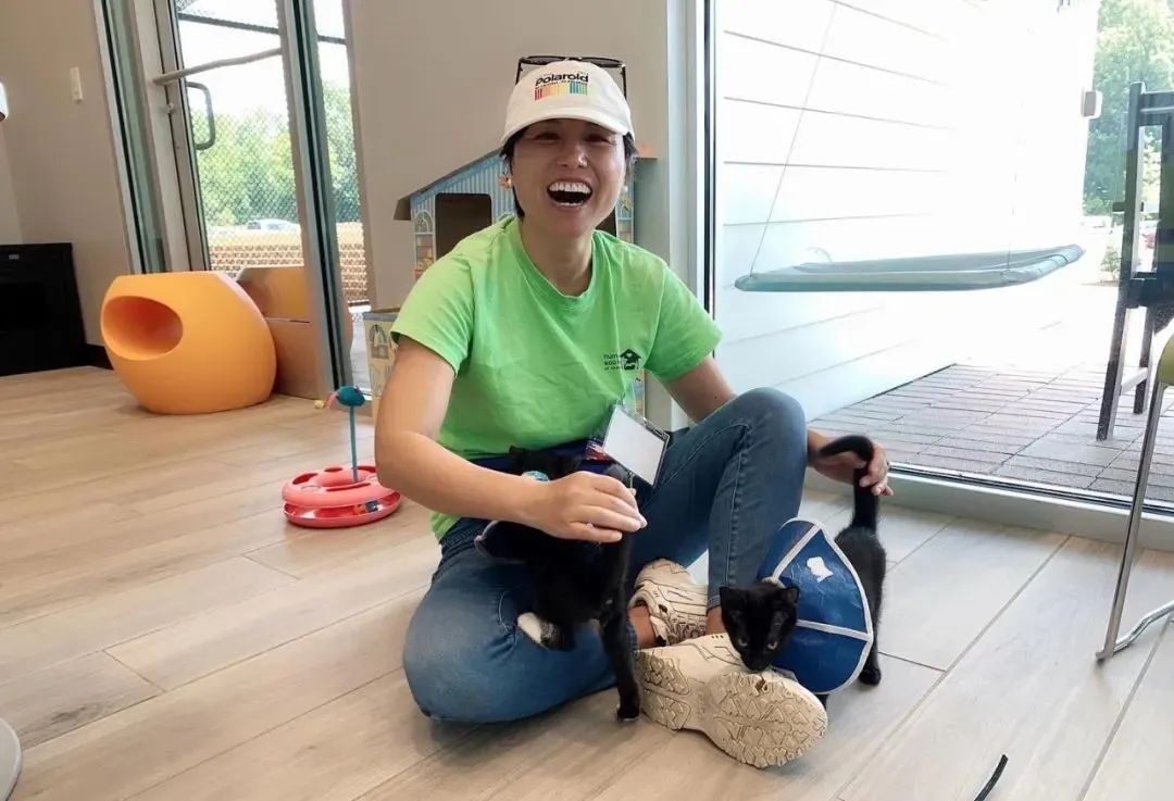 王虹老师简历,王虹老师最新视频