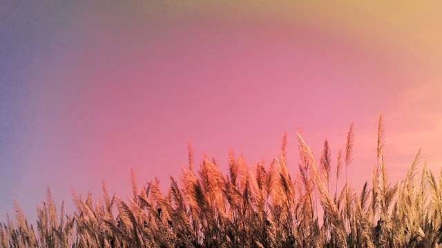 如何做好微商营销推广,怎么做微商的运营推广