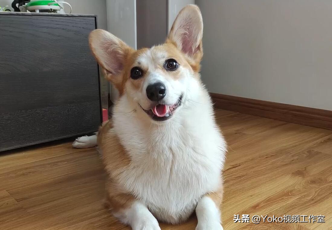 想买电脑父母不让怎么办,实体店买电脑有多坑