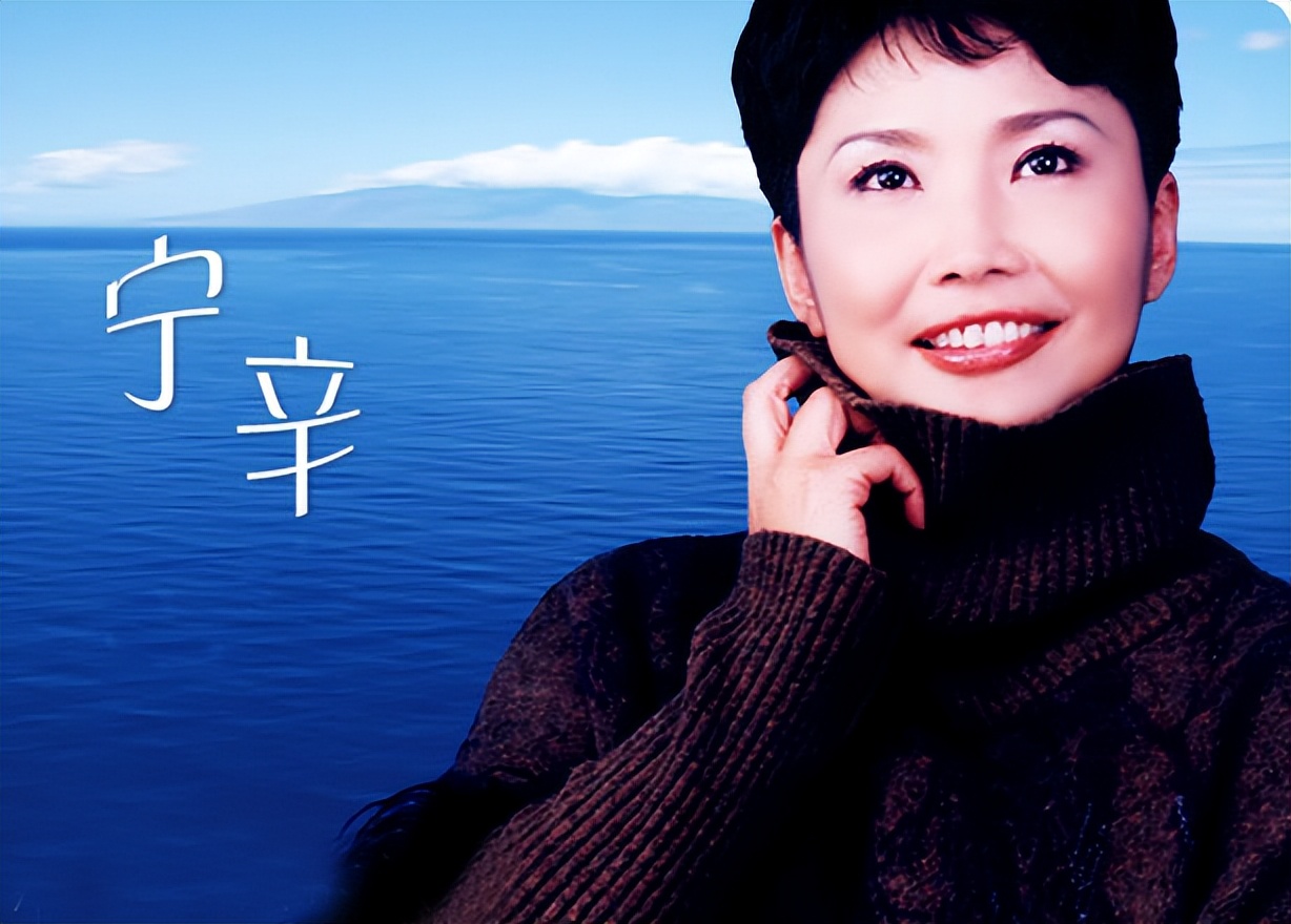 央视女主持人宁辛,主持人宁辛及丈夫近况