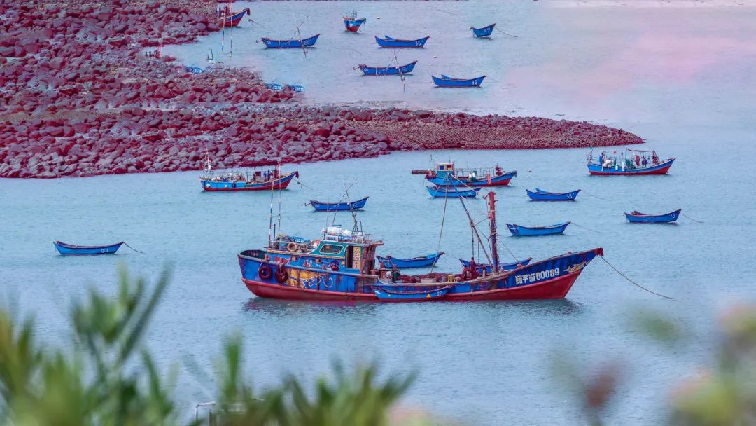 【福建见·闽山闽水物华新】武夷山、鼓浪屿等17个热门景点免门票啦！这个夏天来福建游山玩水吧！