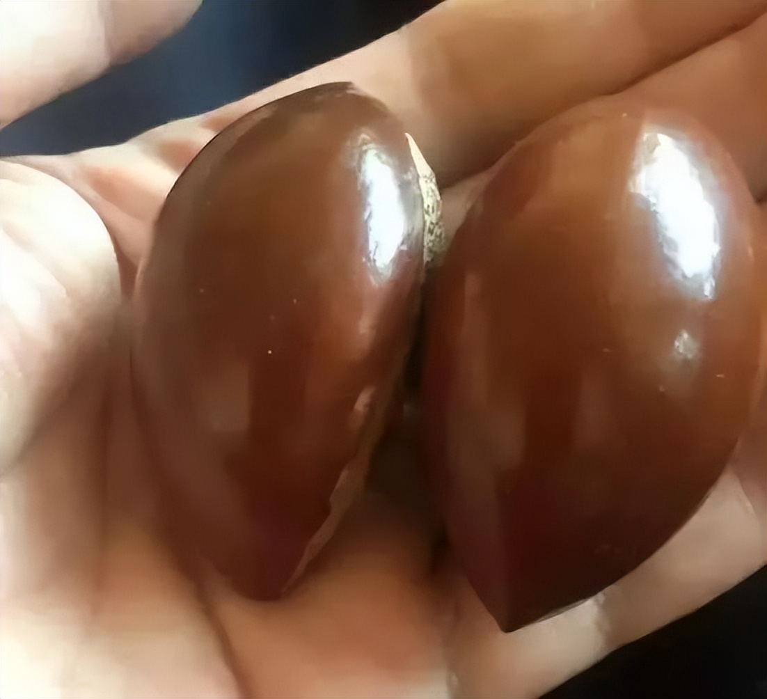 不要钱的文玩,不值钱但玩得好的文玩