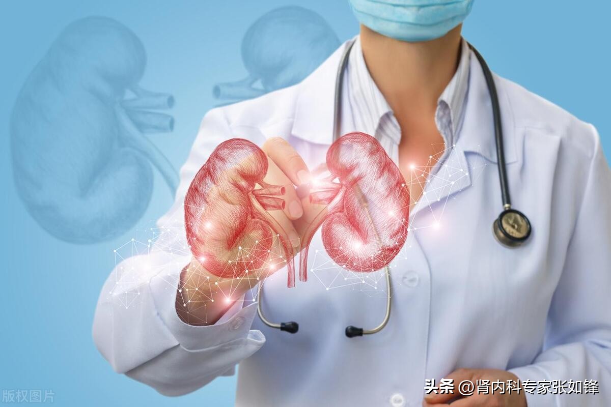 肾病尿毒症能活多久取决于什么,你的肾好不好