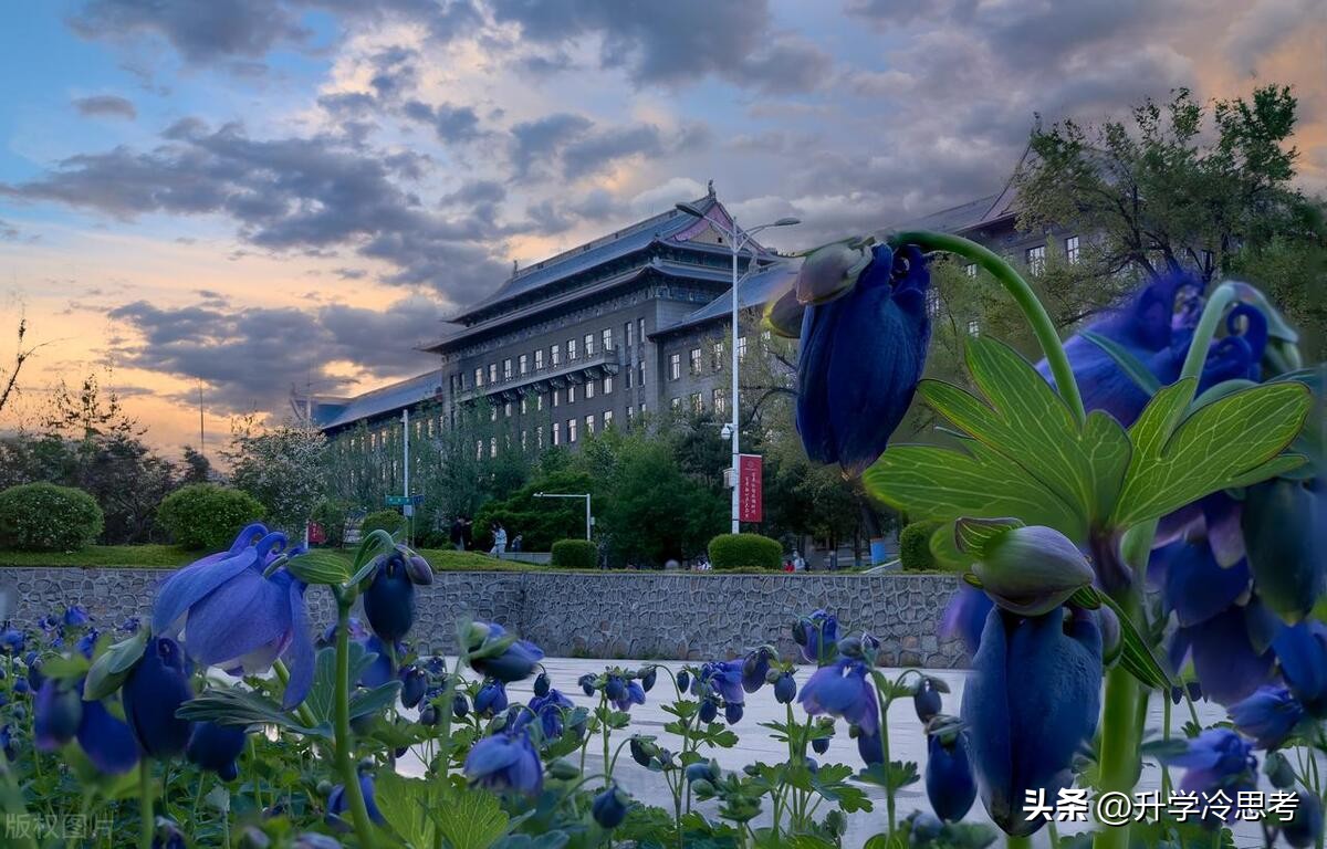 哈尔滨工程大学本科就业率如何？升学率怎样？近三年数据分析比较