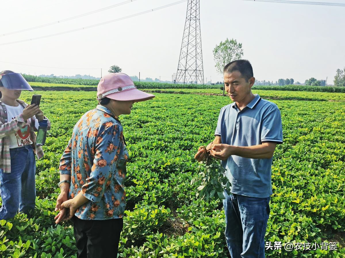 果树缺钙吃什么钙肥好,哪种肥料容易引起钙流失