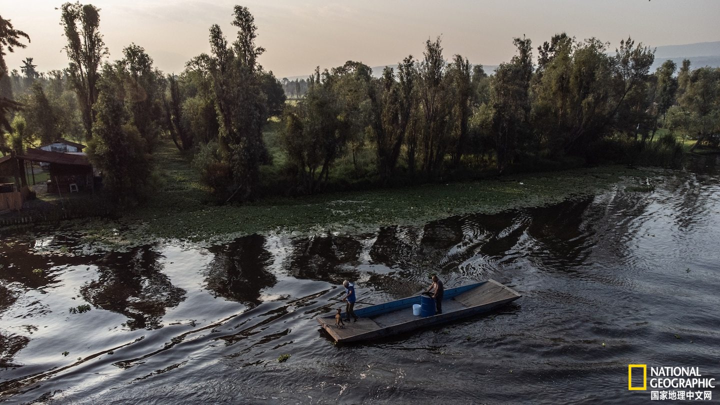 在一个小岛上种地卖菜是什么游戏,在一个岛上种地