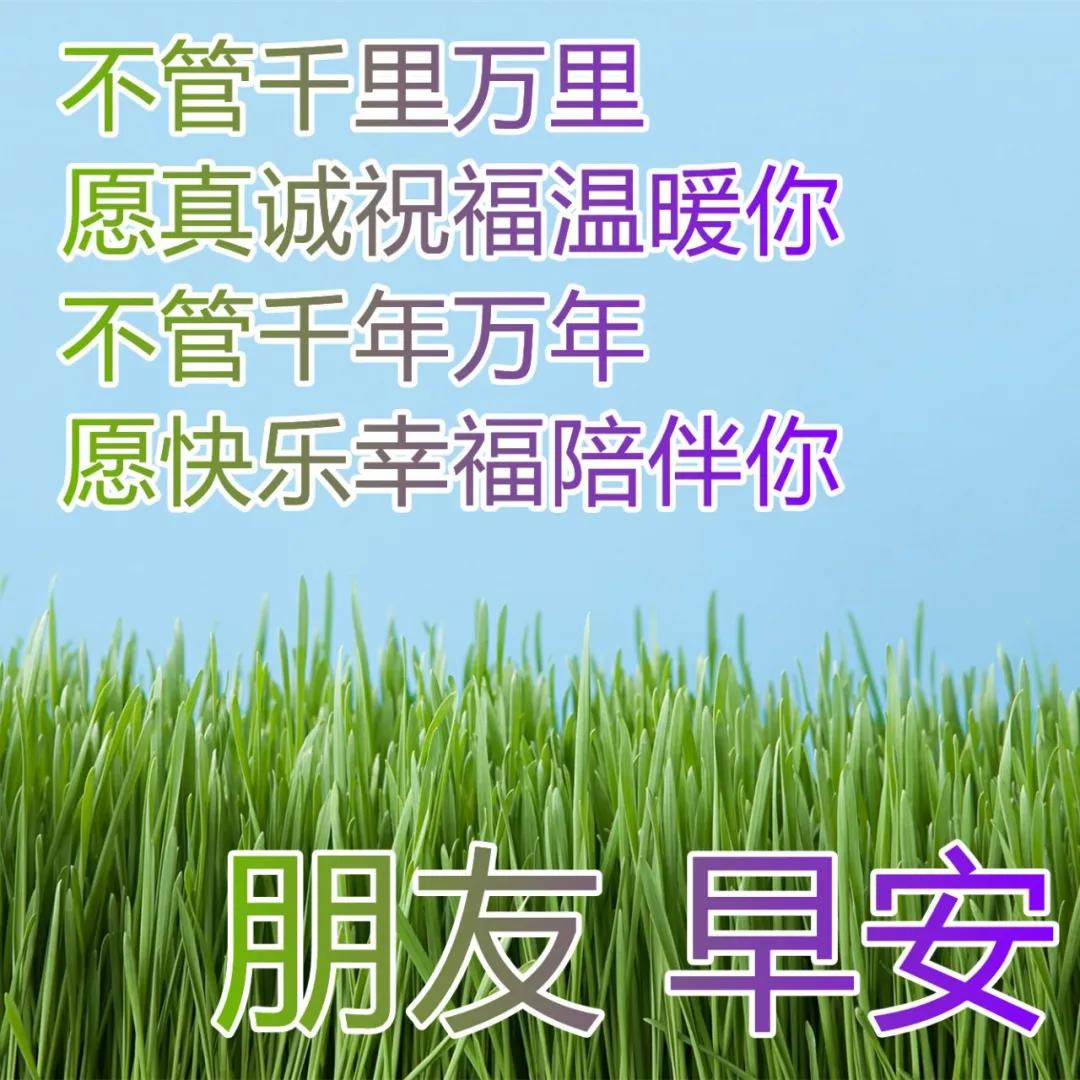 早上好温馨祝福语录动图表情,周日早上好祝福语动态表情图片