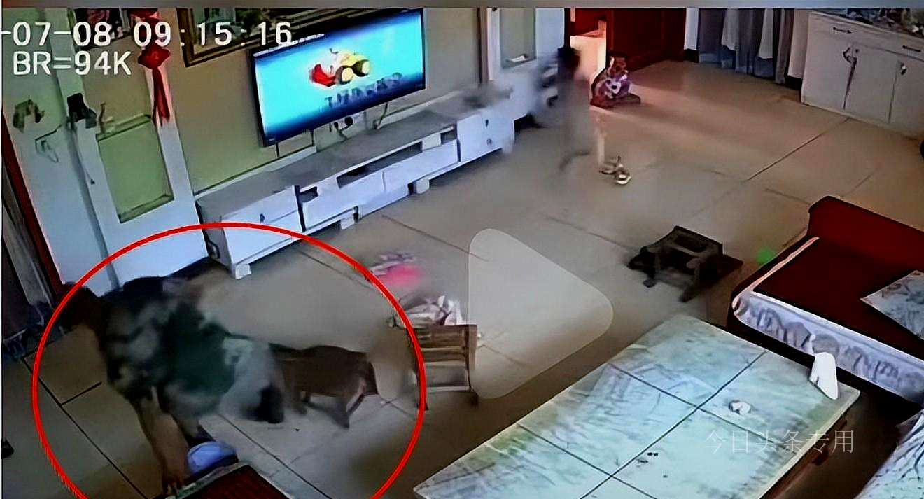 老人入室斧头砍小孩事件被判结果,老人进屋砍小孩事件