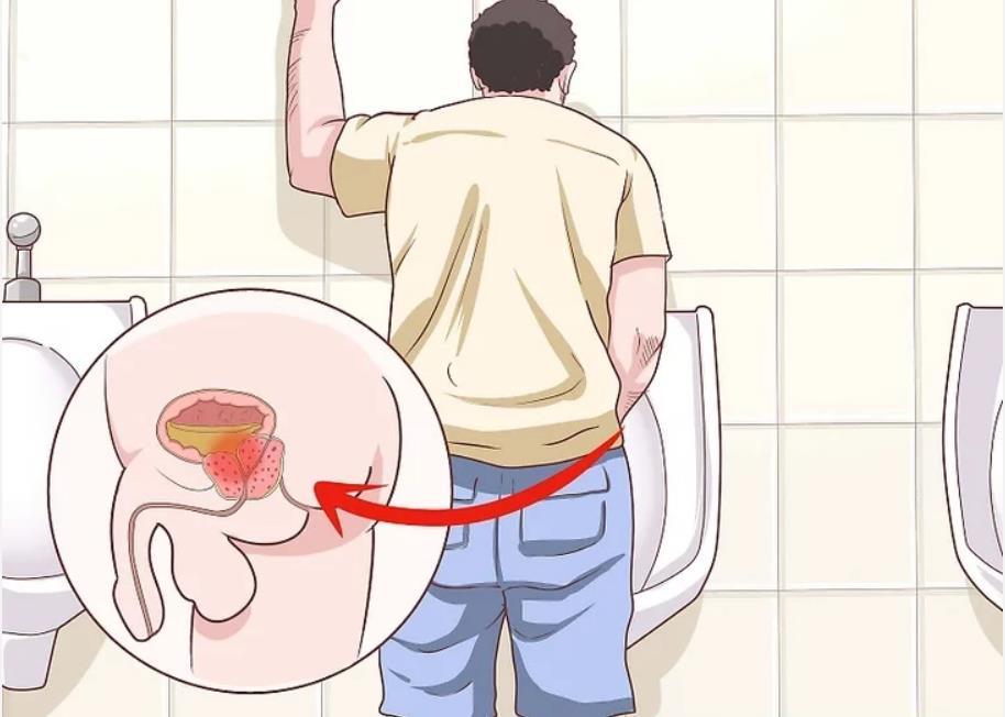 关爱男性生殖健康的意义,关爱男性健康保养