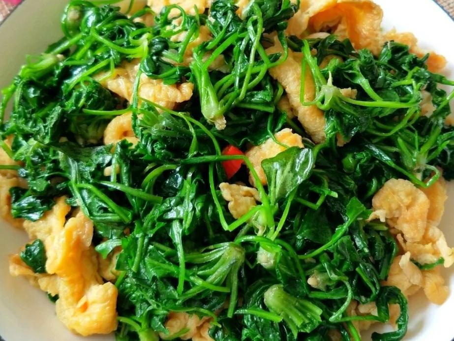 早上是养肝黄金期多吃六种蔬菜,春天养肝食物蔬菜水果有哪些