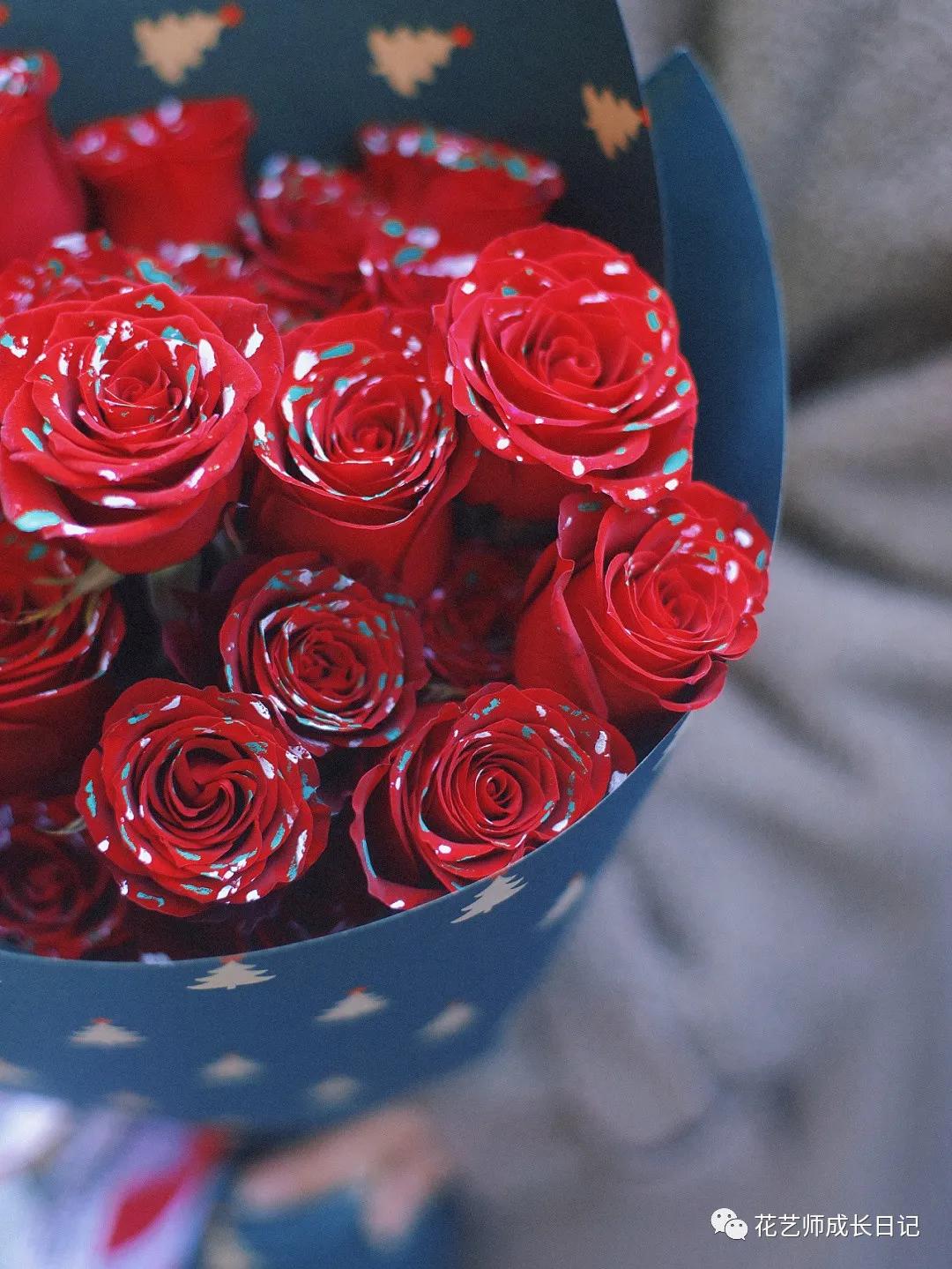 100朵玫瑰样式,圣诞限定玫瑰花