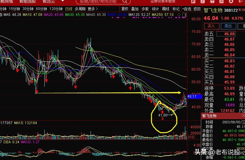 智飞生物300112,智飞生物2023