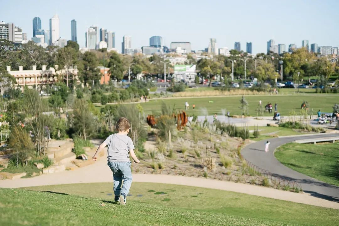 好玩的自由建造动物园游戏,狂野大自然游戏