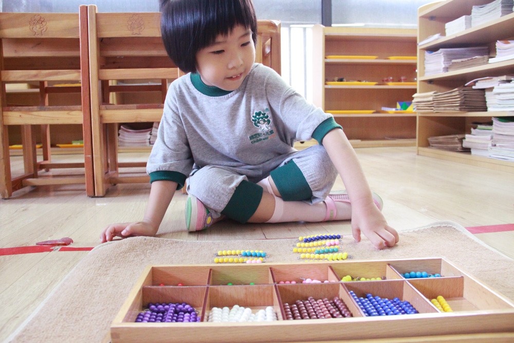 蒙特梭利教育加盟,蒙特梭利幼儿园加盟费多少钱