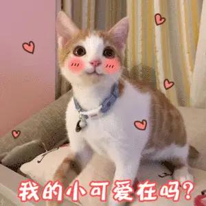 如何去除甲醛异味最有效,如何去除甲醛异味最有效的方法