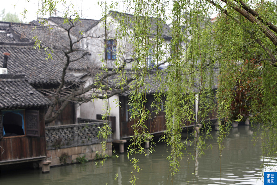 江南十大古镇之乌镇,江南水乡乌镇简介资料