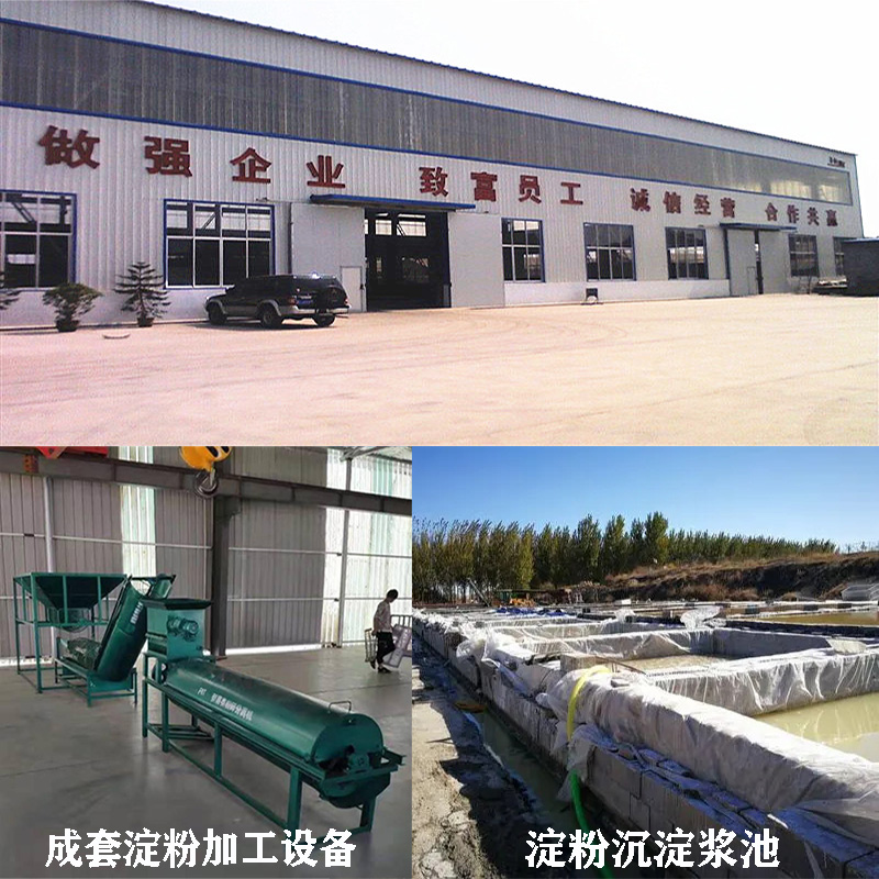 淀粉加工厂创业项目方案,红薯淀粉加工厂可行性报告